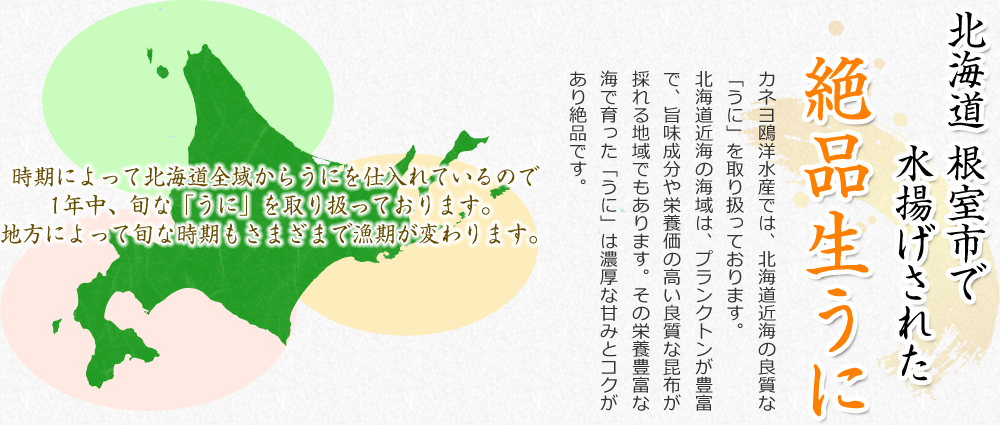 カネヨ鴎洋水産では、北海道近海の良質な「うに」を取り扱っております。北海道近海の海域は、プランクトンが豊富で、旨味成分や栄養価の高い良質な昆布が採れる地域でもあります。その栄養豊富な海で育った「うに」は濃厚な甘みとコクがあり絶品です。