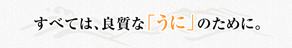 うにへの想い