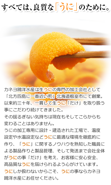 オンライン