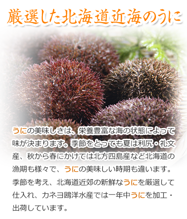 オンライン