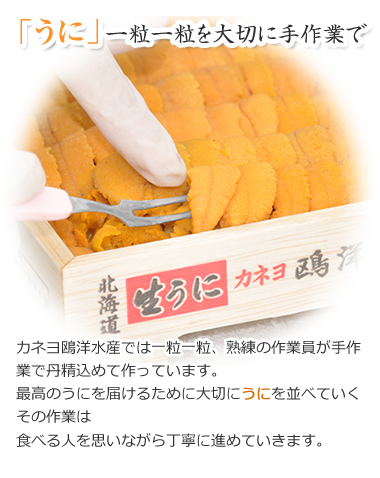 オンライン