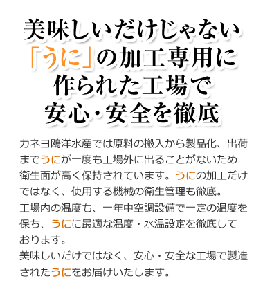 オンライン