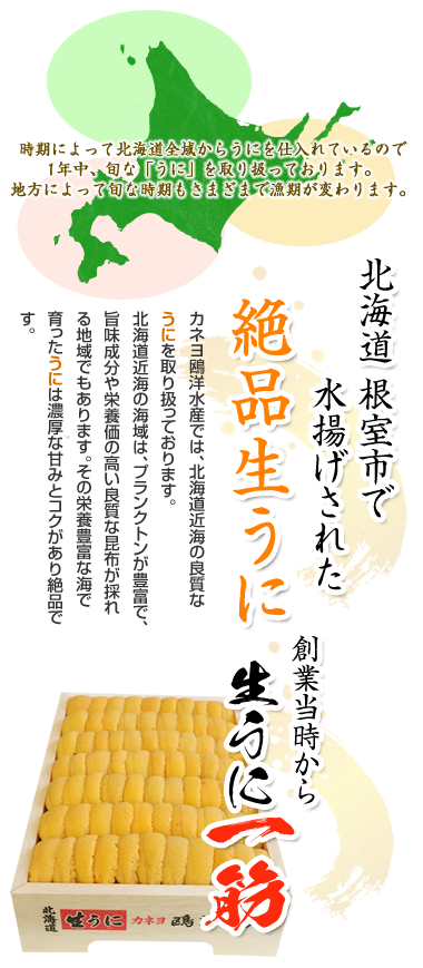 有限会社 カネヨ鴎洋水産 新鮮で高品質な 生うに にこだわり全国にお届けしています