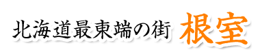 オンライン